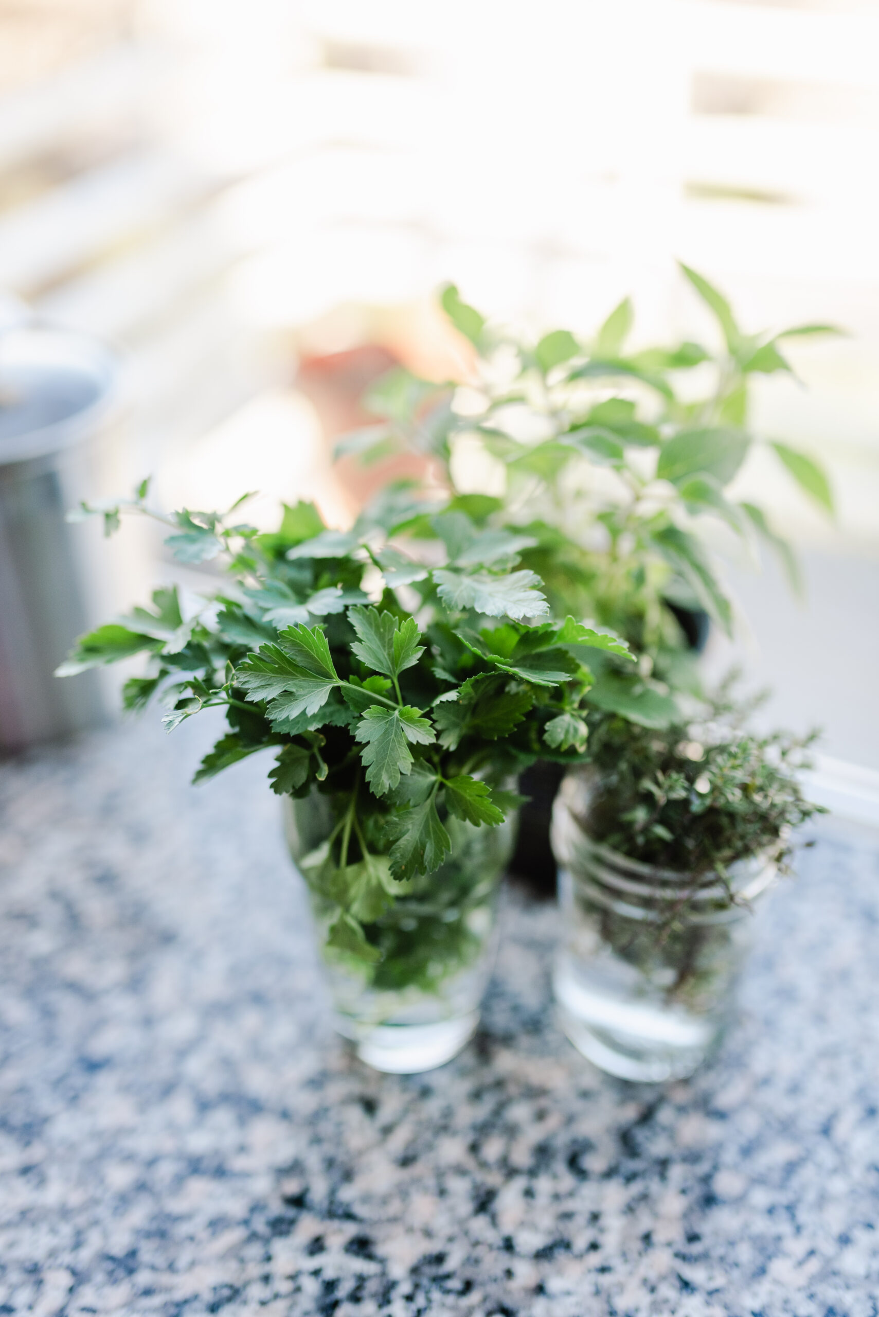 Plants